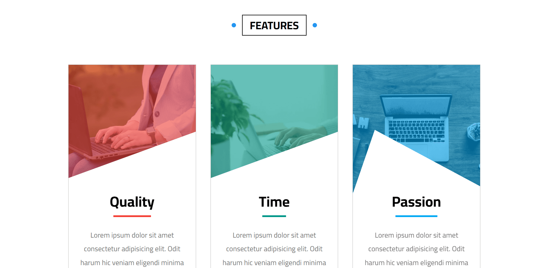 Elzero Template Screenshot 5
