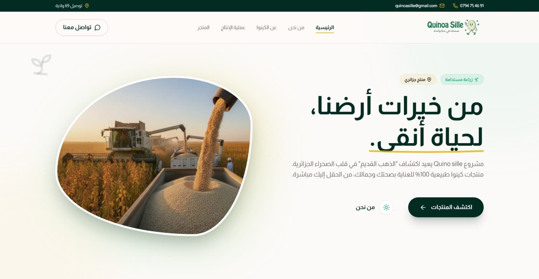 QuinoSille Screenshot 2