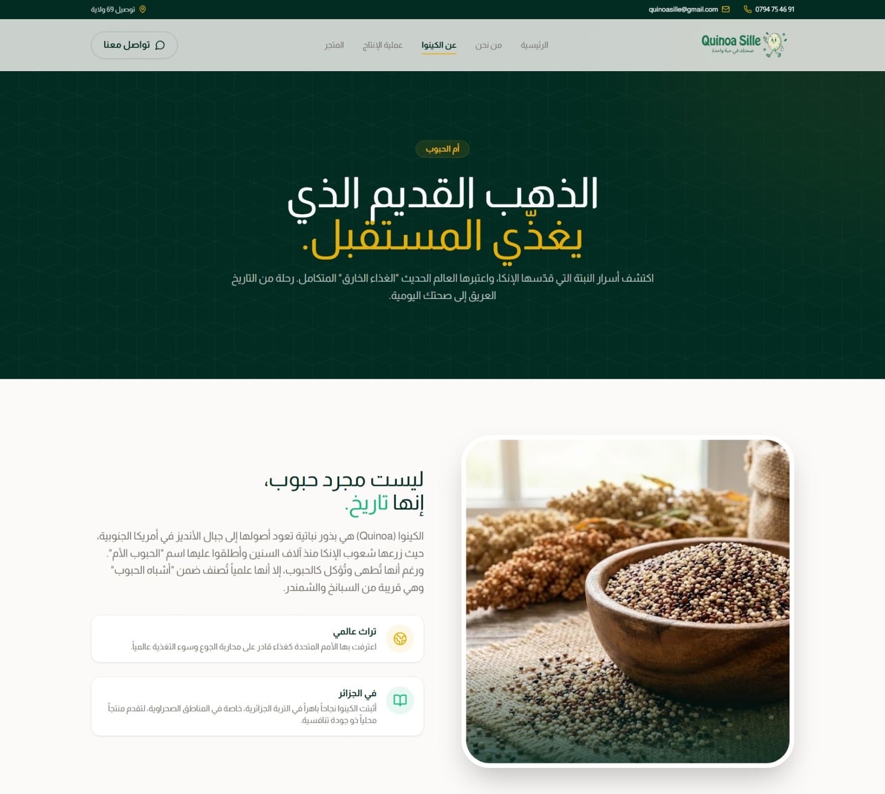 QuinoSille Screenshot 8